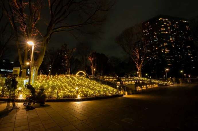新宿中央公園にある眺望のもりのイルミネーション風景