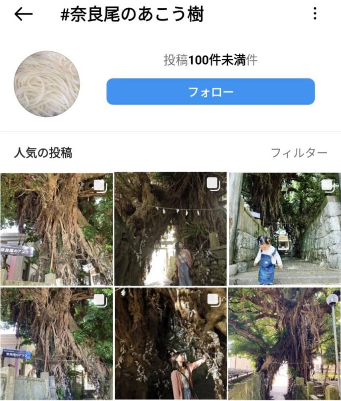 インスタに投稿された奈良尾神社内にある奈良尾のあこう樹の画像