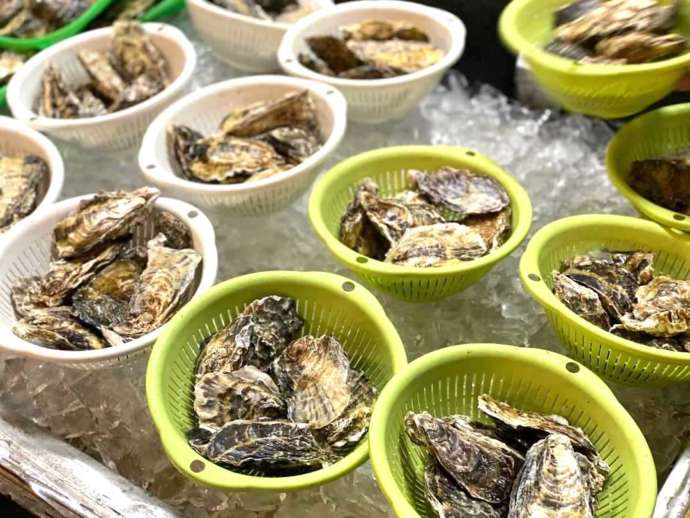 山口県防府市にある「道の駅 潮彩市場防府」で売られている生牡蠣