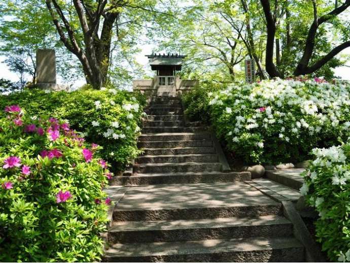 ツツジが咲く清洲古城跡公園