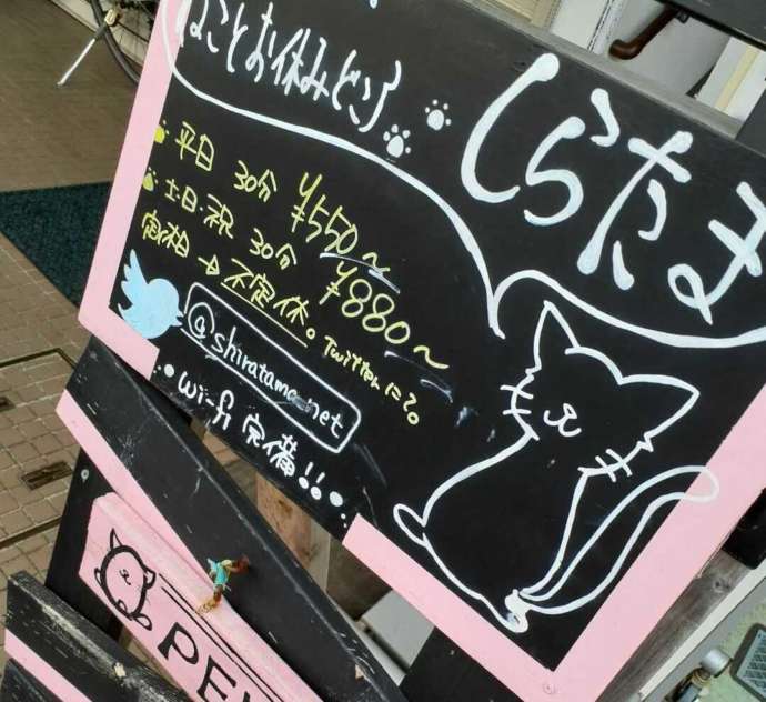東京都国分寺市にある「ねことお休みどころ しらたま」の看板の写真