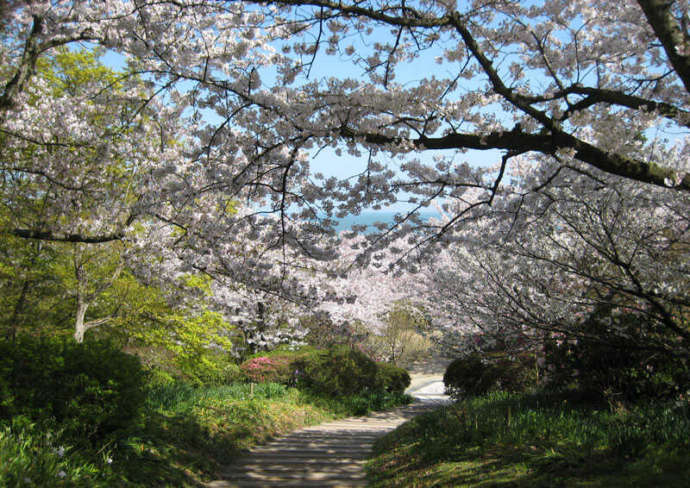 福岡県北九州市の「北九州市立白野江植物公園」にある散策路の様子