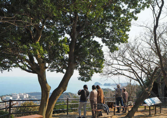 福岡県北九州市の「北九州市立白野江植物公園」にある山頂広場