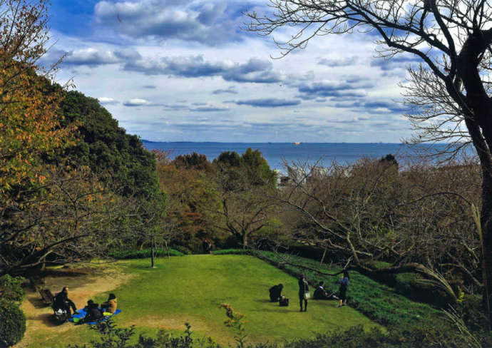 福岡県北九州市にある「北九州市立白野江植物公園」の山頂付近からの眺望