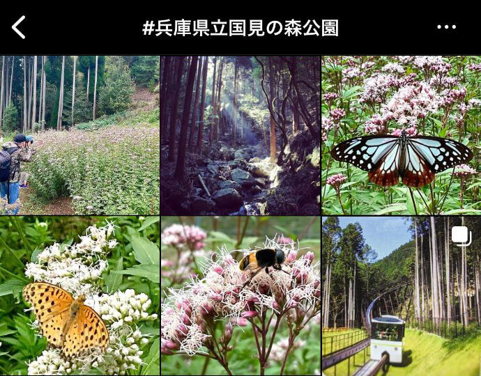 インスタグラムに投稿された兵庫県立国見の森公園の写真