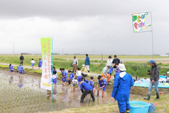 山形県庄内町で実施されている田植え体験の課外授業