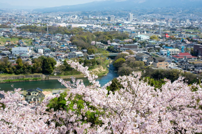 本城山展望台から見える柿田川と清水町のまちなみ