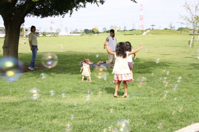 白井市の「白井市総合公園」の芝生広場で遊ぶ家族