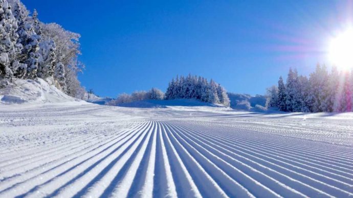 スキージャム勝山ゲレンデの朝一のコンディション