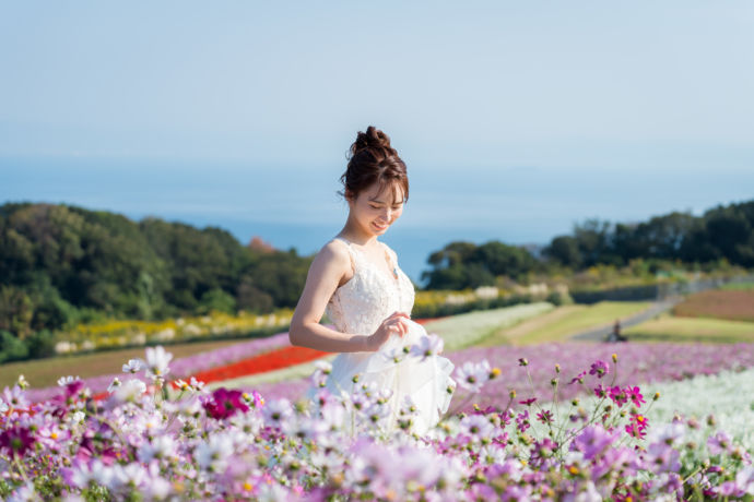 花畑で撮影されたSORAIROの洋装ウェディングフォト