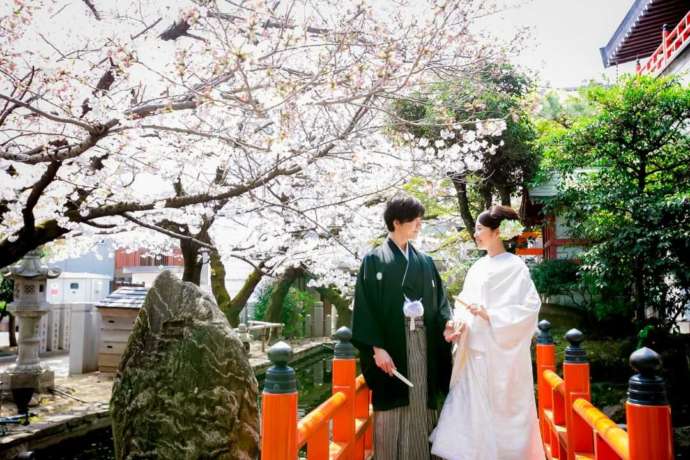 播磨国総社の境内に咲き誇る桜の下で微笑み合う新郎新婦