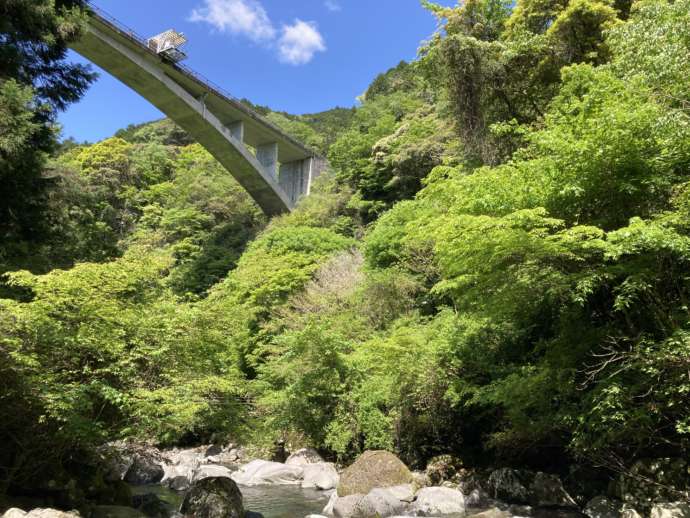 静岡県富士市にある「須津山休養林キャンプ場」のそばを流れる須津川の様子