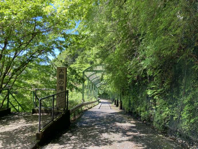 「須津山休養林キャンプ場」の近くにある大棚の滝へと続く遊歩道