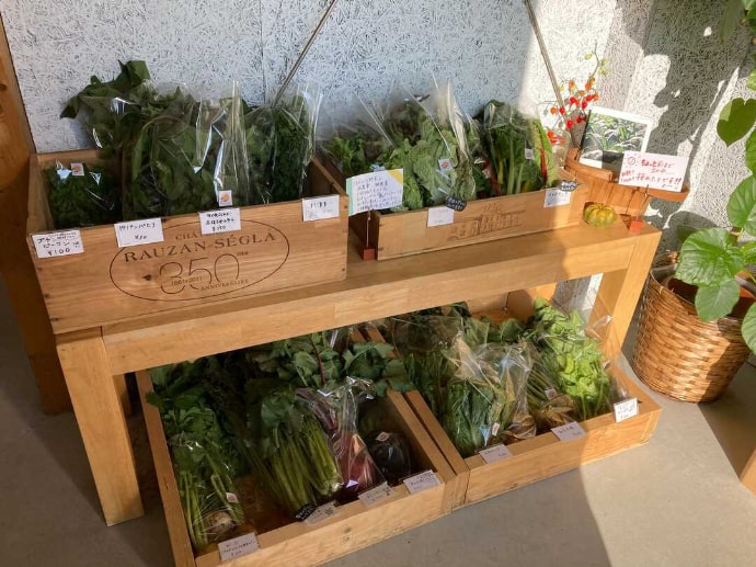 SUN FARMERS CAFEで購入できる野菜