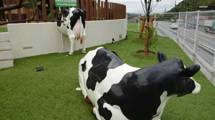 愛媛県東温市にある「母恵夢スイーツパーク」にいる乳牛