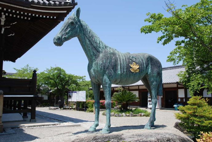 橘寺の本堂前にある聖徳太子の愛馬黒駒の像