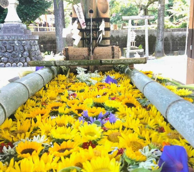 長崎県雲仙市にある「橘神社」の花手水・夏