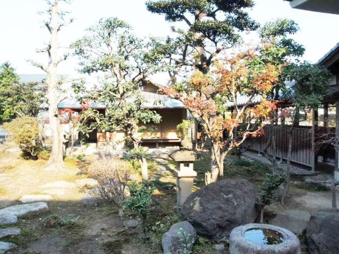 寶雲山泰岳寺の庭の様子