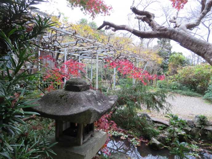 紅葉が美しい太江寺の秋