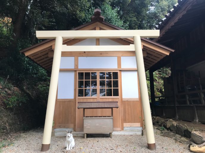 太江寺の白い鳥居と猫