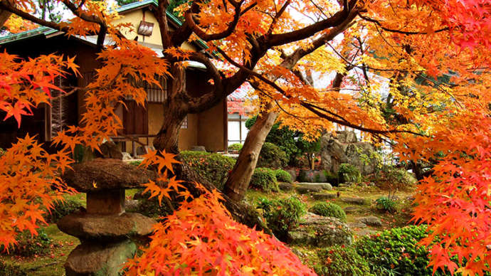 紅葉の季節の當麻寺奥院