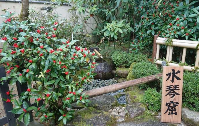 「當麻寺西南院」の庭園に設置された水琴窟と実を付けたセンリョウ（冬）