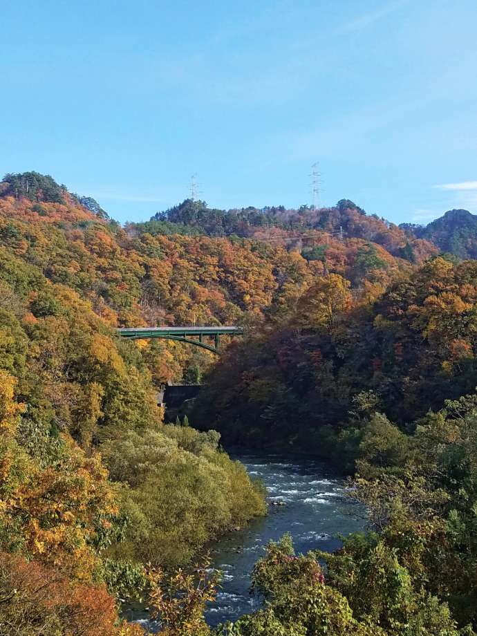 秋の胎内川の渓谷の様子