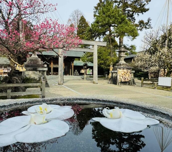 高岡古城公園内にある射水神社