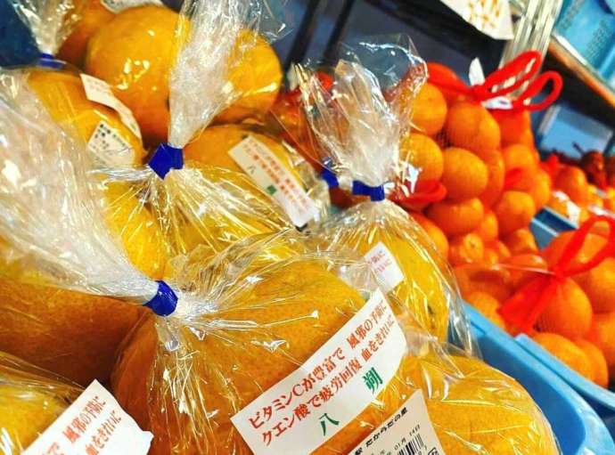 香川県三豊市にある「道の駅 たからだの里さいた」で売られている柑橘類