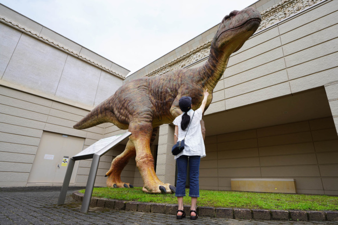 光ミュージアムの恐竜の展示