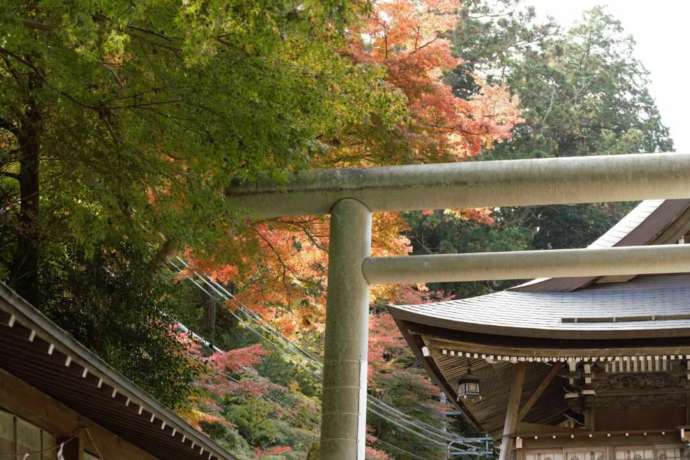田村神社の秋の境内
