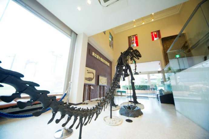 博物館入口にある「アロサウルス」の全身骨格