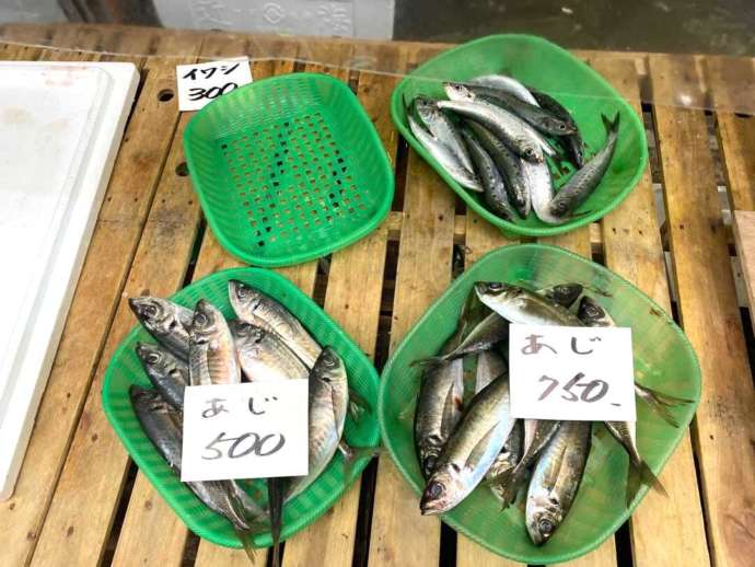 福岡県北九州市の「旦過市場」にあるフィッシュマートで売られている青魚