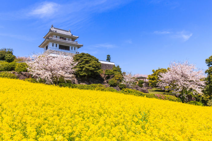 佐賀県太良町の竹崎城跡展望台の様子