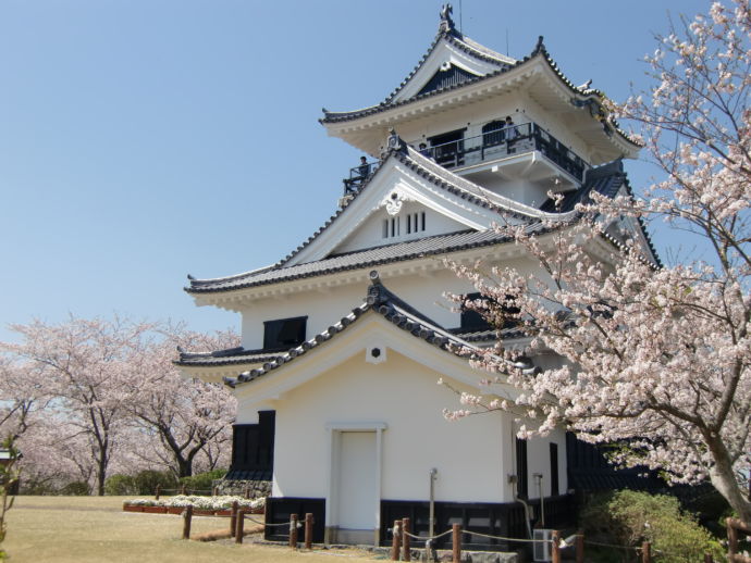 館山城の春風景