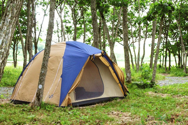 築拓キャンプ場のフリーサイトに張られたテント