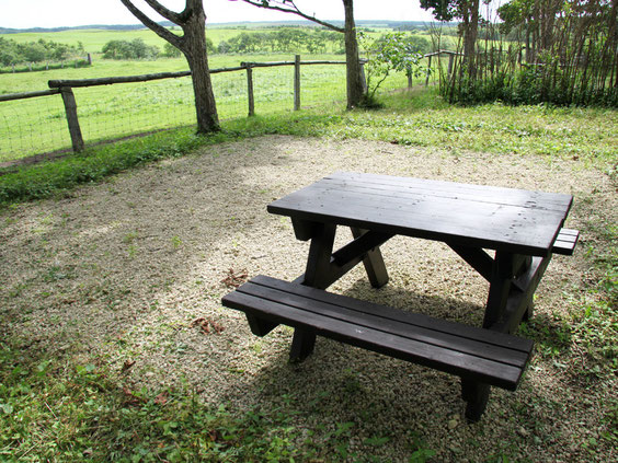 築拓キャンプ場のカーサイトにある木製テーブルとベンチ