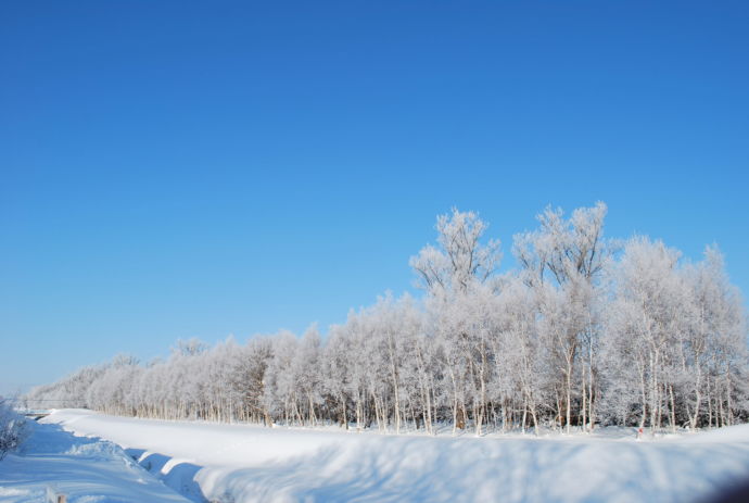 北海道当別町の冬の風景