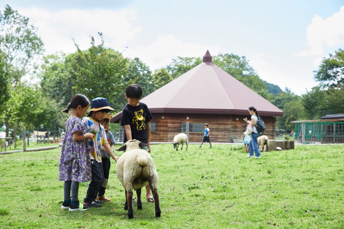 戸隠牧場で羊とふれあう子供たち