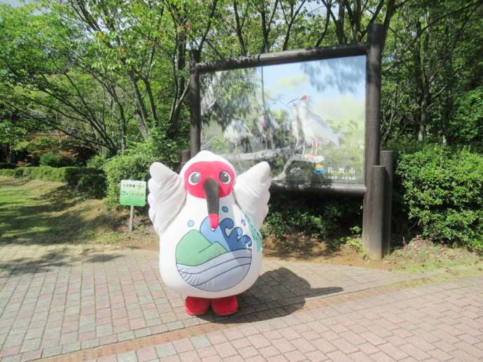 新潟県佐渡市の「トキの森公園」にサドッキーがやってきた様子