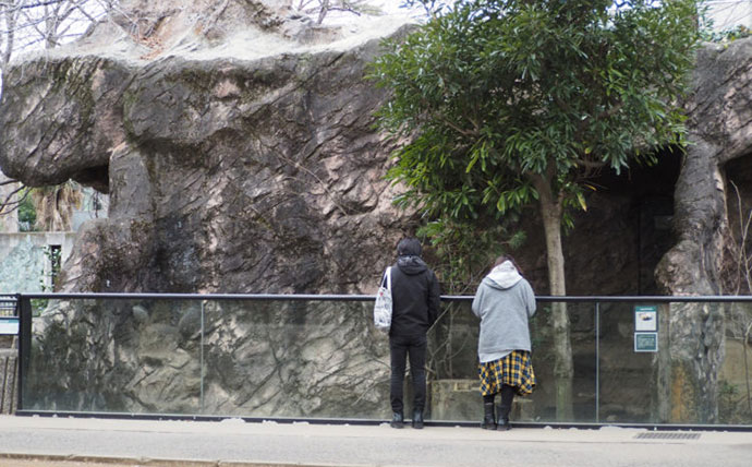 日本アナグマを見るカップル