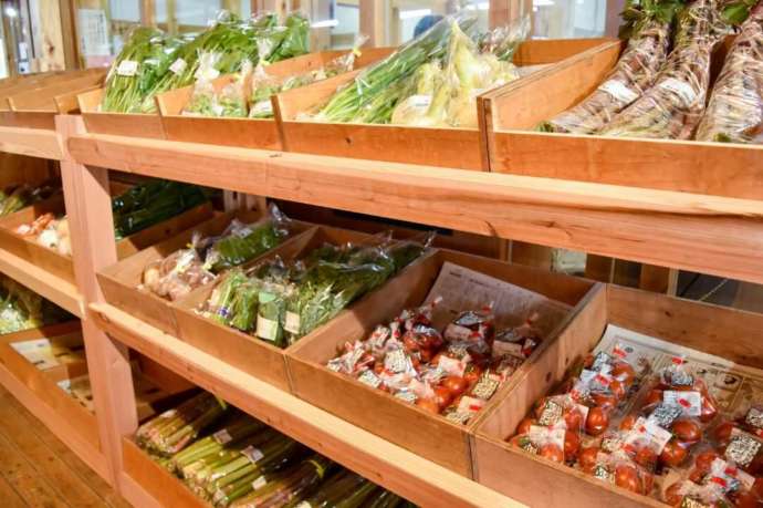高知県高岡郡にある「道の駅四万十とおわ」で売られている野菜