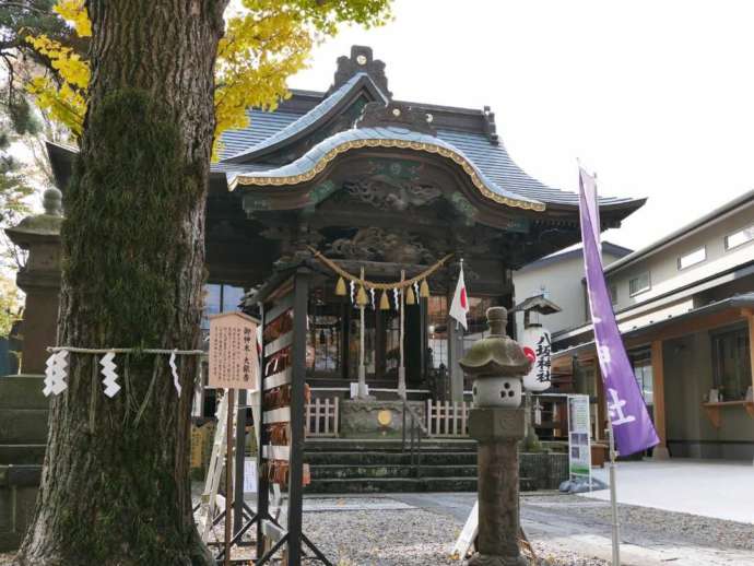 「取手八坂神社」社殿正面と御神木の大銀杏