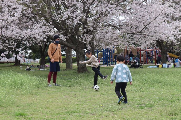 北浦川緑地で遊ぶファミリー