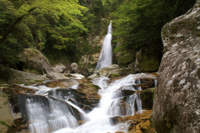 十津川村の笹の滝