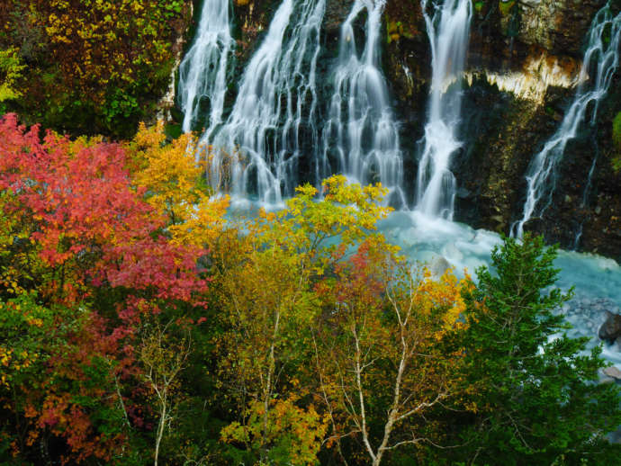 美瑛町の秋の白鬚の滝