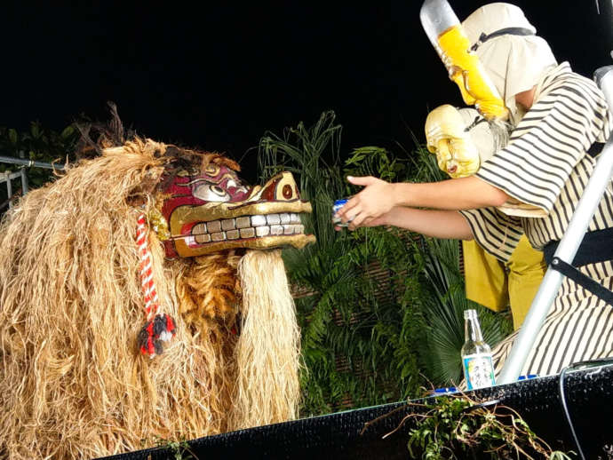 国頭村の豊年祭による村民と獅子舞