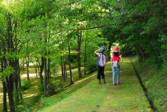 津幡町の北側に広がる石川県森林公園を散歩する女性たち