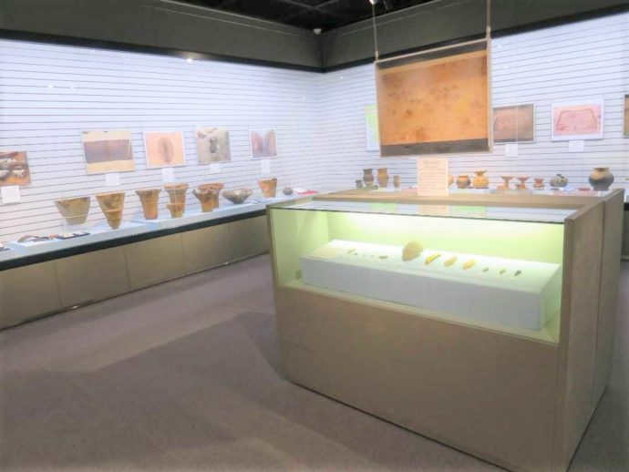 上高津貝塚ふるさと歴史の広場にある資料館の常設展示室の展示品