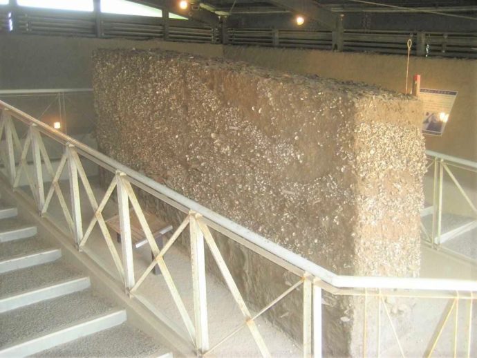 上高津貝塚ふるさと歴史の広場にある貝層断面展示施設内の内部